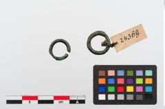 Foto von Bronzering (NHMW-PRAE-024369)